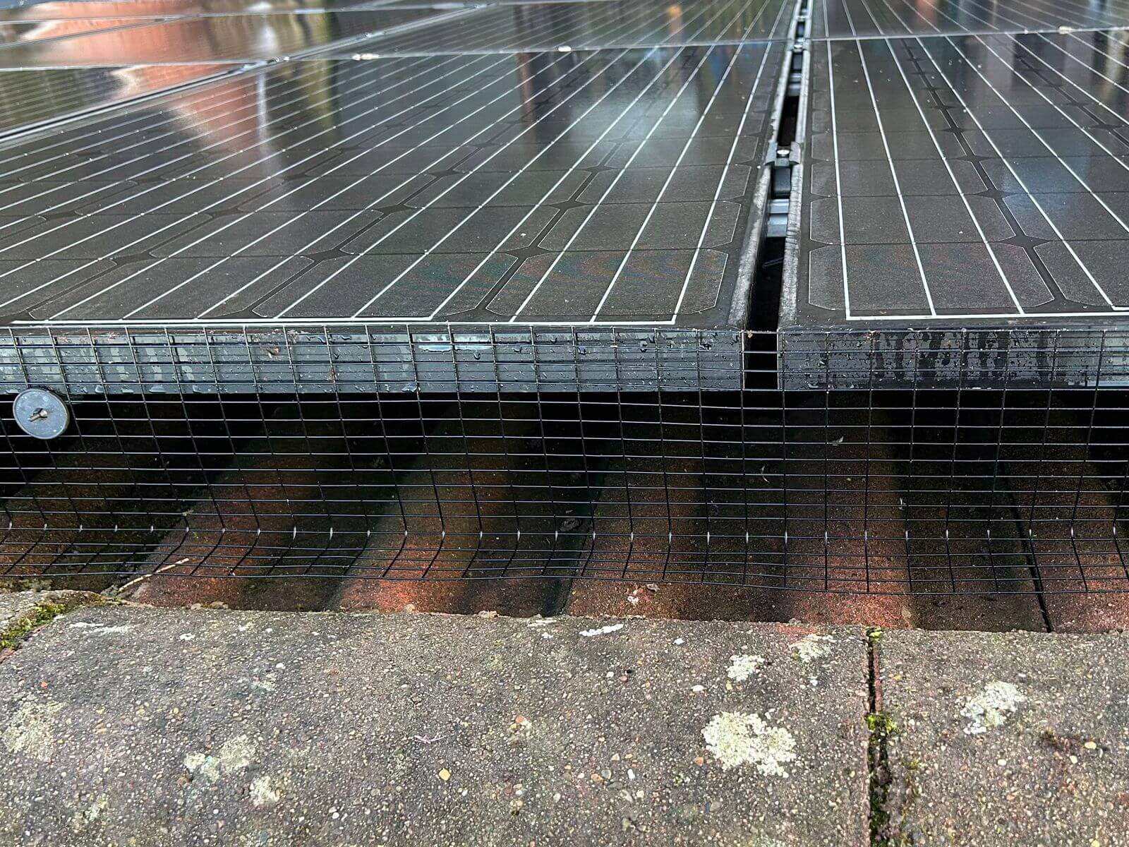 The Ultimate Guide to Bird Proofing Solar Panels