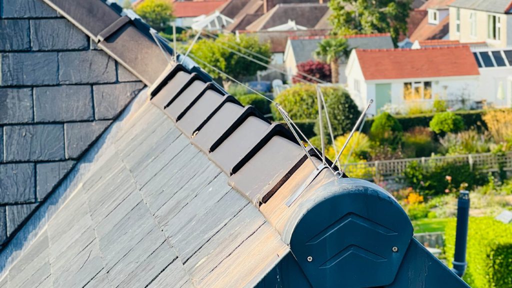 How to Get Rid of Pigeons: Effective Pigeon Proofing Techniques That Work