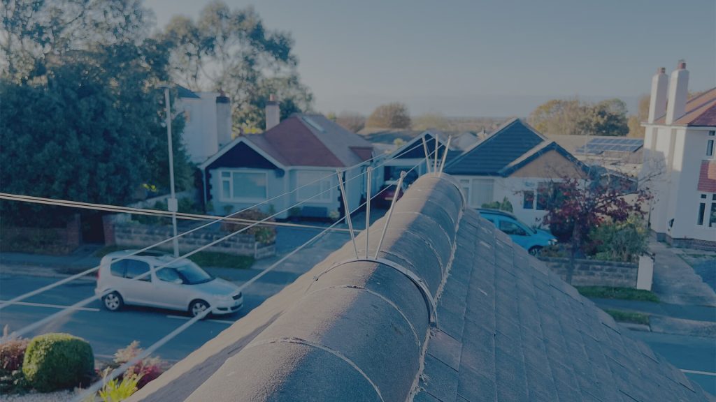 A Homeowner’s Guide to Bird Proofing in North Wales
