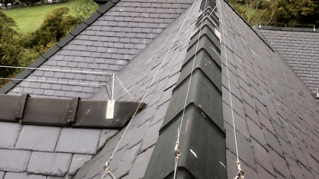 What Is Bird Wire and How Does It Work?