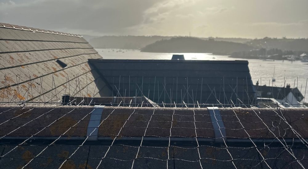 Bird Netting Installation Contractors