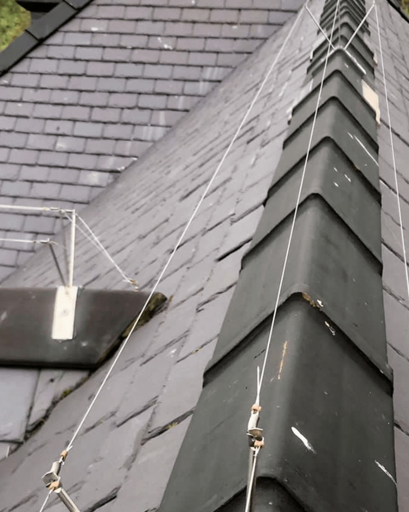 What Is Bird Wire and How Does It Work?