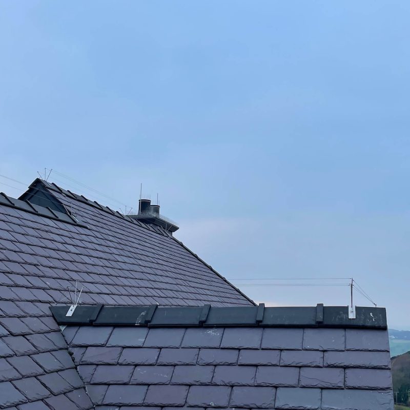 Bird Control