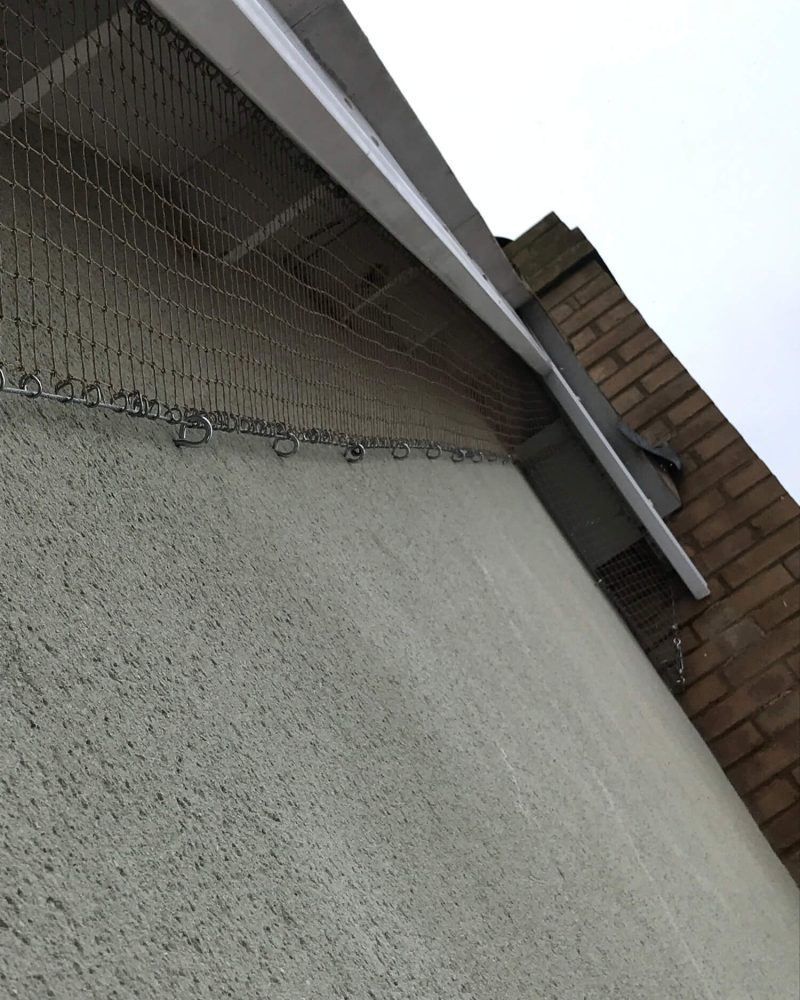 British Bird Proofing